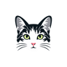 Linacat